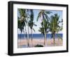 Palm Tree and Tropical Beach on the Coast of Mozambique, Africa-Groenendijk Peter-Framed Photographic Print
