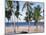 Palm Tree and Tropical Beach on the Coast of Mozambique, Africa-Groenendijk Peter-Mounted Photographic Print