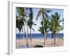 Palm Tree and Tropical Beach on the Coast of Mozambique, Africa-Groenendijk Peter-Framed Photographic Print