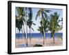 Palm Tree and Tropical Beach on the Coast of Mozambique, Africa-Groenendijk Peter-Framed Photographic Print