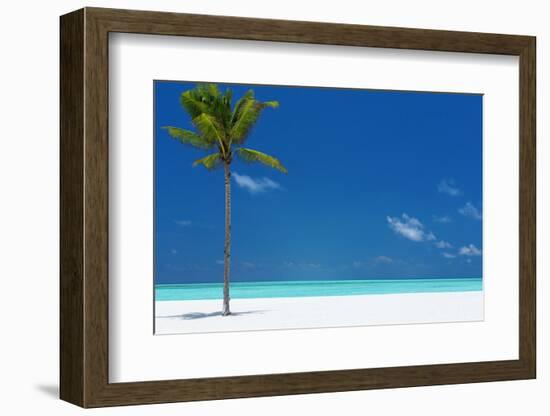 Palm tree and tropical beach, The Maldives, Indian Ocean, Asia-Sakis Papadopoulos-Framed Photographic Print