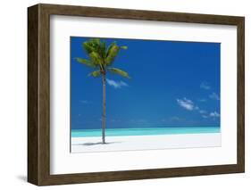 Palm tree and tropical beach, The Maldives, Indian Ocean, Asia-Sakis Papadopoulos-Framed Photographic Print