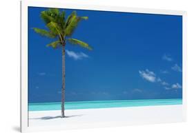 Palm tree and tropical beach, The Maldives, Indian Ocean, Asia-Sakis Papadopoulos-Framed Photographic Print