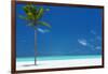 Palm tree and tropical beach, The Maldives, Indian Ocean, Asia-Sakis Papadopoulos-Framed Photographic Print