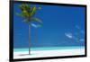 Palm tree and tropical beach, The Maldives, Indian Ocean, Asia-Sakis Papadopoulos-Framed Photographic Print