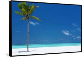 Palm tree and tropical beach, The Maldives, Indian Ocean, Asia-Sakis Papadopoulos-Framed Stretched Canvas