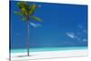 Palm tree and tropical beach, The Maldives, Indian Ocean, Asia-Sakis Papadopoulos-Stretched Canvas