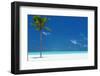 Palm tree and tropical beach, The Maldives, Indian Ocean, Asia-Sakis Papadopoulos-Framed Photographic Print