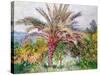 Palm Tree at Bordighera, C.1884-Claude Monet-Stretched Canvas