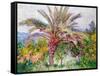 Palm Tree at Bordighera, C.1884-Claude Monet-Framed Stretched Canvas