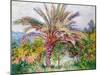 Palm Tree at Bordighera, C.1884-Claude Monet-Mounted Premium Giclee Print