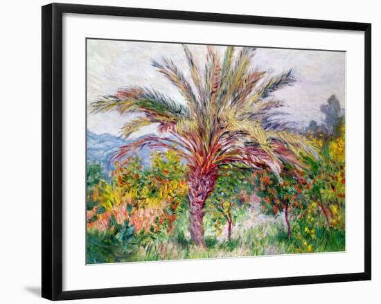 Palm Tree at Bordighera, C.1884-Claude Monet-Framed Giclee Print