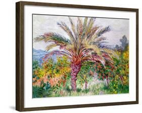 Palm Tree at Bordighera, C.1884-Claude Monet-Framed Giclee Print