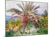 Palm Tree at Bordighera, C.1884-Claude Monet-Mounted Giclee Print