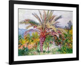 Palm Tree at Bordighera, C.1884-Claude Monet-Framed Giclee Print