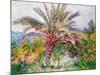 Palm Tree at Bordighera, C.1884-Claude Monet-Mounted Giclee Print