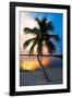 Palm Tree at Sunset - Florida-Philippe Hugonnard-Framed Photographic Print