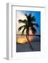 Palm Tree at Sunset - Florida-Philippe Hugonnard-Framed Photographic Print