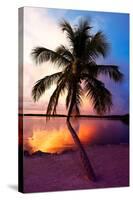 Palm Tree at Sunset - Florida-Philippe Hugonnard-Stretched Canvas