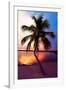 Palm Tree at Sunset - Florida-Philippe Hugonnard-Framed Photographic Print