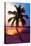 Palm Tree at Sunset - Florida-Philippe Hugonnard-Stretched Canvas