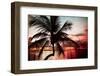Palm Tree at Sunset - Florida-Philippe Hugonnard-Framed Premium Photographic Print