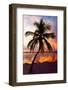 Palm Tree at Sunset - Florida-Philippe Hugonnard-Framed Photographic Print