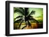 Palm Tree at Sunset - Florida-Philippe Hugonnard-Framed Photographic Print