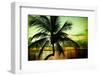 Palm Tree at Sunset - Florida-Philippe Hugonnard-Framed Photographic Print