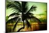 Palm Tree at Sunset - Florida-Philippe Hugonnard-Mounted Photographic Print