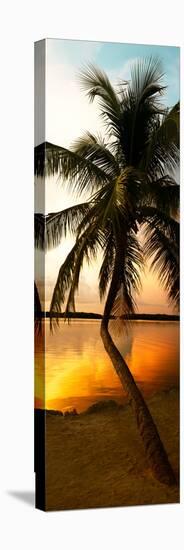 Palm Tree at Sunset - Florida-Philippe Hugonnard-Stretched Canvas