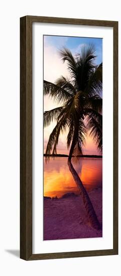 Palm Tree at Sunset - Florida-Philippe Hugonnard-Framed Photographic Print