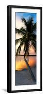 Palm Tree at Sunset - Florida-Philippe Hugonnard-Framed Photographic Print