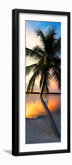 Palm Tree at Sunset - Florida-Philippe Hugonnard-Framed Photographic Print