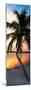 Palm Tree at Sunset - Florida-Philippe Hugonnard-Mounted Photographic Print