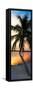 Palm Tree at Sunset - Florida-Philippe Hugonnard-Framed Stretched Canvas