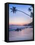 Palm Tree at Sunset on Tropical Mirissa Beach-Matthew Williams-Ellis-Framed Stretched Canvas