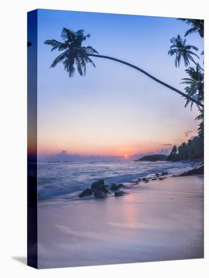 Palm Tree at Sunset on Tropical Mirissa Beach-Matthew Williams-Ellis-Stretched Canvas
