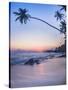 Palm Tree at Sunset on Tropical Mirissa Beach-Matthew Williams-Ellis-Stretched Canvas