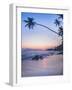 Palm Tree at Sunset on Tropical Mirissa Beach-Matthew Williams-Ellis-Framed Photographic Print