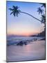 Palm Tree at Sunset on Tropical Mirissa Beach-Matthew Williams-Ellis-Mounted Photographic Print