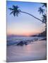 Palm Tree at Sunset on Tropical Mirissa Beach-Matthew Williams-Ellis-Mounted Photographic Print