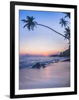 Palm Tree at Sunset on Tropical Mirissa Beach-Matthew Williams-Ellis-Framed Photographic Print