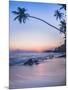 Palm Tree at Sunset on Tropical Mirissa Beach-Matthew Williams-Ellis-Mounted Photographic Print