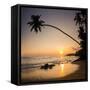 Palm Tree at Sunset on Tropical Mirissa Beach-Matthew Williams-Ellis-Framed Stretched Canvas