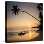 Palm Tree at Sunset on Tropical Mirissa Beach-Matthew Williams-Ellis-Stretched Canvas