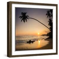 Palm Tree at Sunset on Tropical Mirissa Beach-Matthew Williams-Ellis-Framed Photographic Print