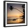 Palm Tree at Sunset on Tropical Mirissa Beach-Matthew Williams-Ellis-Framed Photographic Print