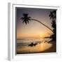 Palm Tree at Sunset on Tropical Mirissa Beach-Matthew Williams-Ellis-Framed Photographic Print