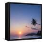 Palm Tree at Sunset on Tropical Mirissa Beach-Matthew Williams-Ellis-Framed Stretched Canvas